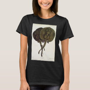 Stingrays, zeedieren T-shirt