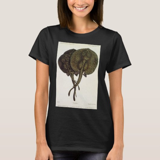 Stingrays, zeedieren T-shirt (Voorkant)