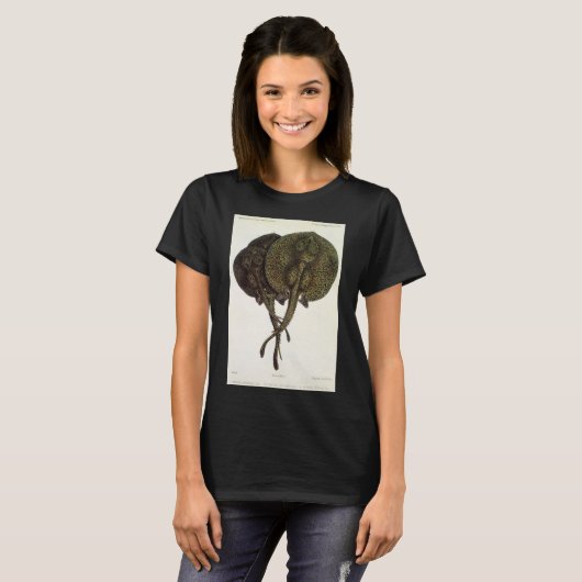 Stingrays, zeedieren T-shirt (Voorkant volledig)
