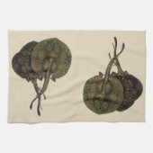  Stingrays, zeedieren Theedoek (Horizontaal)