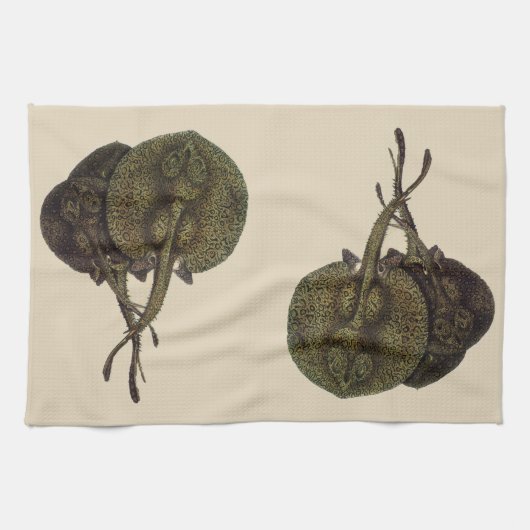 Stingrays, zeedieren Theedoek (Horizontaal)