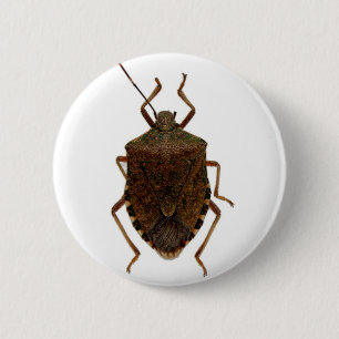 Stink Bug Ronde Button 5,7 Cm
