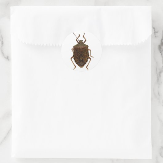 Stink Bug Ronde Sticker (Tas)
