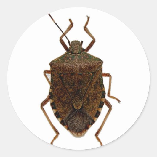 Stink Bug Ronde Sticker (Voorkant)