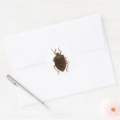 Stink Bug Ronde Sticker (Envelop)