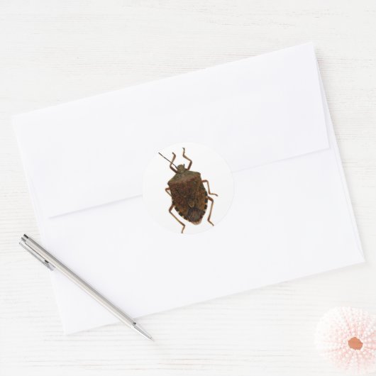 Stink Bug Ronde Sticker (Envelop)