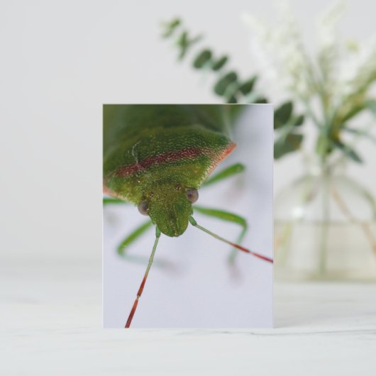 Stink Eye Briefkaart (Staand voorkant)