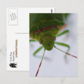 Stink Eye Briefkaart (Voorkant / Achterkant)