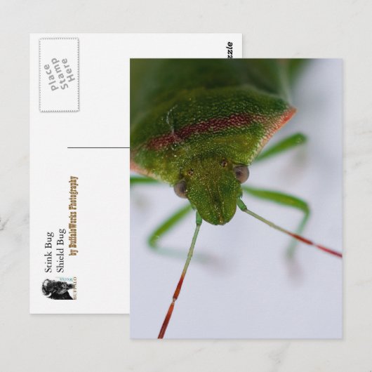 Stink Eye Briefkaart (Voorkant / Achterkant)