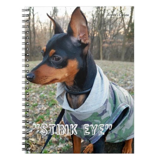 Stink Eye MInPin Notitieboek (Voorkant)