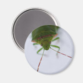 Stink oog magneet (Voorkant / Achterkant)