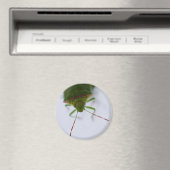 Stink oog magneet (Insitu (Vaatwasser))