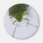 Stink oog magneet (Voorkant)