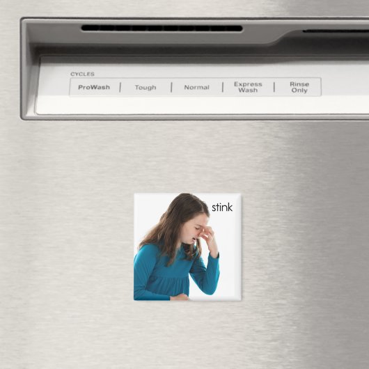 Stink Refkoelkast Magnet (Insitu (Vaatwasser))