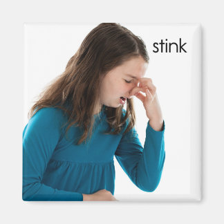 Stink Refkoelkast Magnet