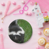 stinkdier-2 papieren bordje (Feest)