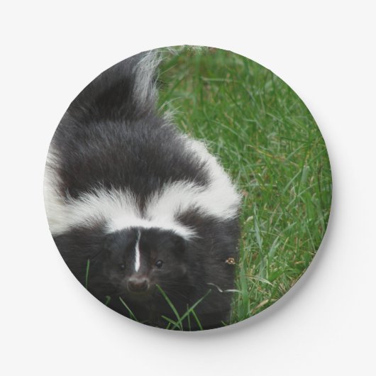 stinkdier-2 papieren bordje (Voorkant)