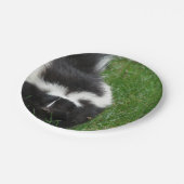 stinkdier-2 papieren bordje (Gekanteld)