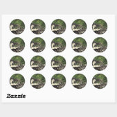  stinkdieren, wilde dieren en boskappen ronde sticker (Vel)