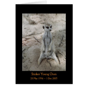 Stinker - Legends Card