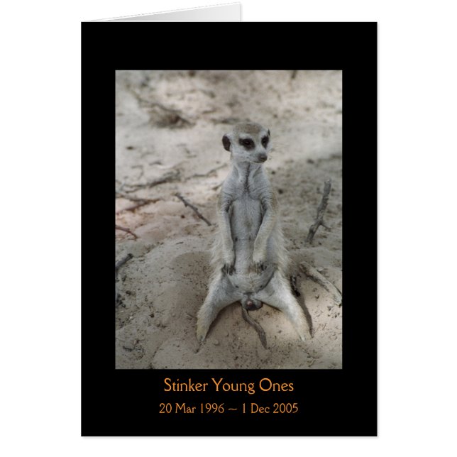 Stinker - Legends Card (Voorkant)