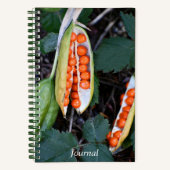 Stinking Iris Seed Pod Foto Notitieboek (Voorkant)