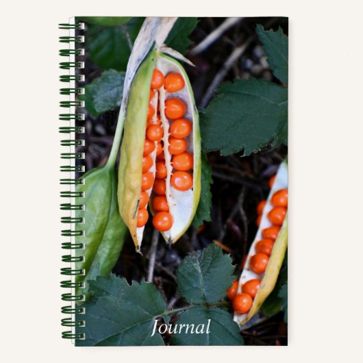 Stinking Iris Seed Pod Foto Notitieboek (Voorkant)