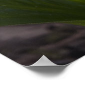 Stinkkool - Kunstafdrukken Poster (Hoek)