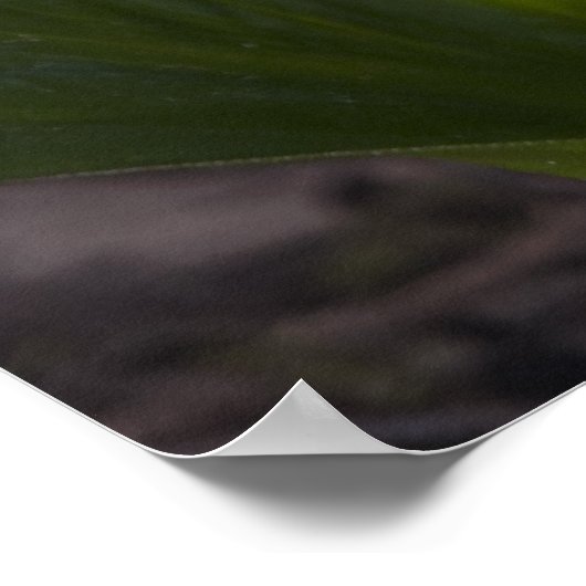 Stinkkool - Kunstafdrukken Poster (Hoek)