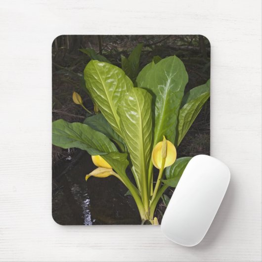 Stinkkool - Mousepad Muismat (Met muis)