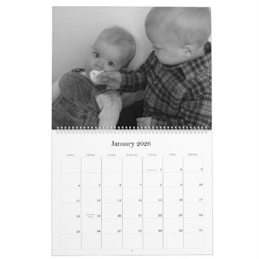 Stinky Cheese Calendar Kalender (Jan 2026)
