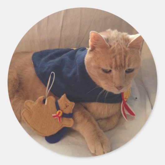 Stinky met zijn ornament! ronde sticker (Voorkant)