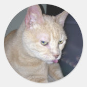 Stinky Raspberry Sticker (Voorkant)