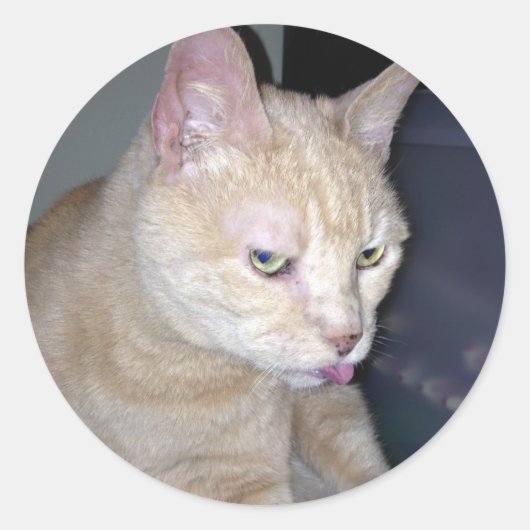 Stinky Raspberry Sticker (Voorkant)