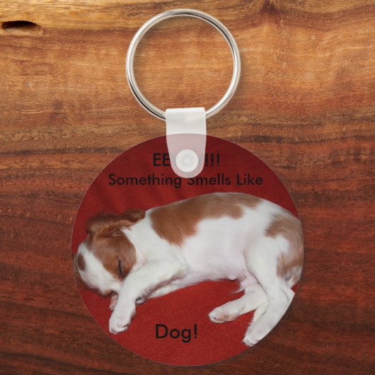 Stinnky Dog Sleutelhanger (Voorkant)