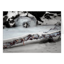 Stinson Brook Birchfall