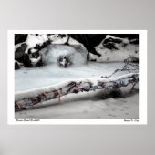 Stinson Brook Birchfall Poster (Voorkant)