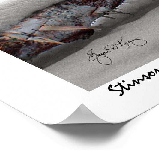 Stinson Brook Birchfall Poster (Hoek)