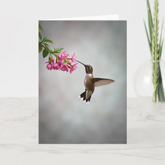 Stippelkolibrie Bloemkaart Kaart (Voorkant)