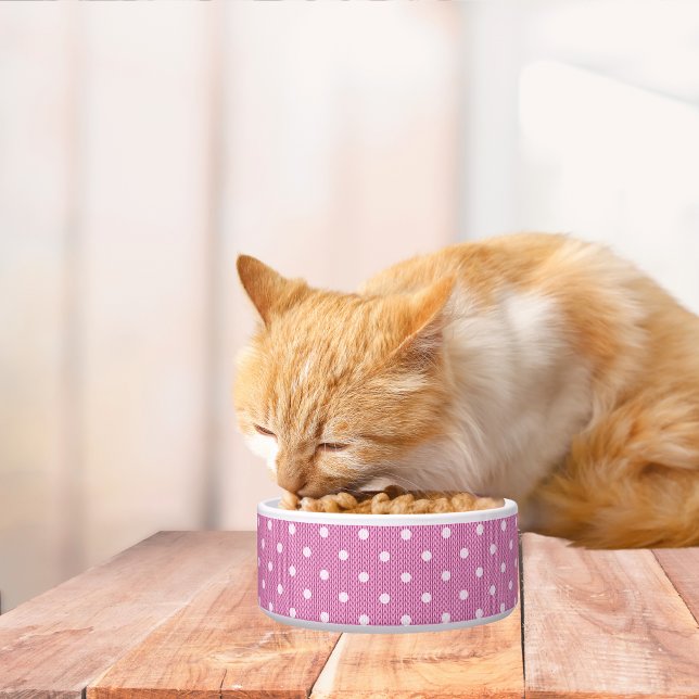 Stippen Delight Roze Huisdier Kom (Dotty Delight Pink Pet Bowl)