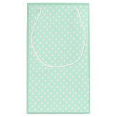 stippen in pastel mintgroen klein cadeauzakje (Achterkant)
