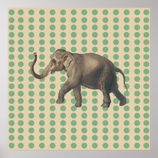 Stippen met lephant- met lephant poster (Voorkant)