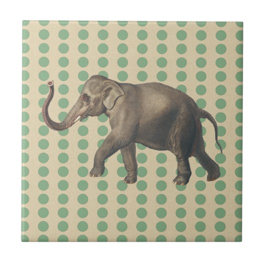 Stippen met lephant- met lephant tegeltje (Voorkant)