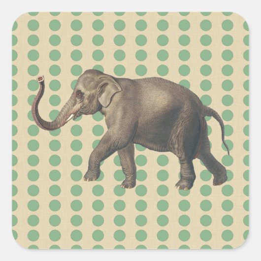 Stippen met lephant- met lephant vierkante sticker (Voorkant)