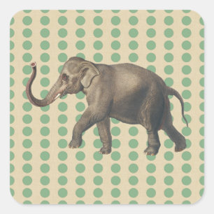 Stippen met lephant- met lephant vierkante sticker