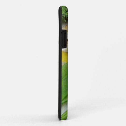 Stir Fry Case-Mate iPhone Case (Achterkant/rechts)