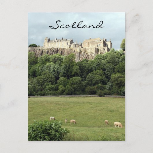 stirling castle schaafveld briefkaart (Voorkant)