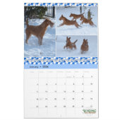 Stirling Irish Terriers 2021 Agenda Kalender (Jan 2026)