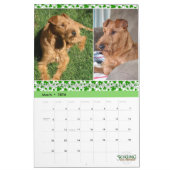 Stirling Irish Terriers 2021 Agenda Kalender (Mar 2026)