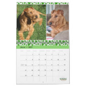 Stirling Irish Terriers-kalender 2023 Kalender (Mar 2027)